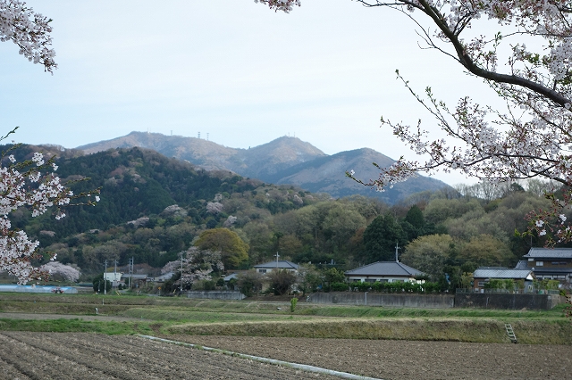 b0147203_222787.jpg