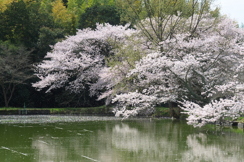 c0043403_22405077.jpg