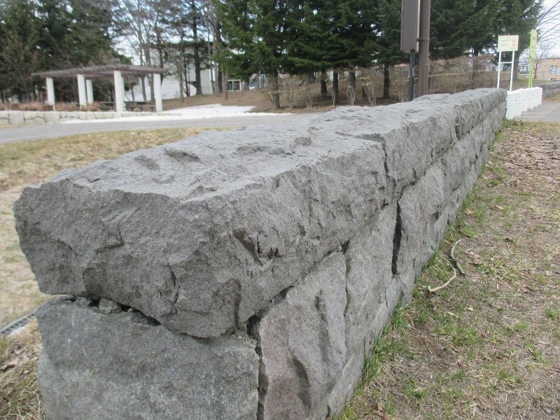 f0202703_5411235.jpg