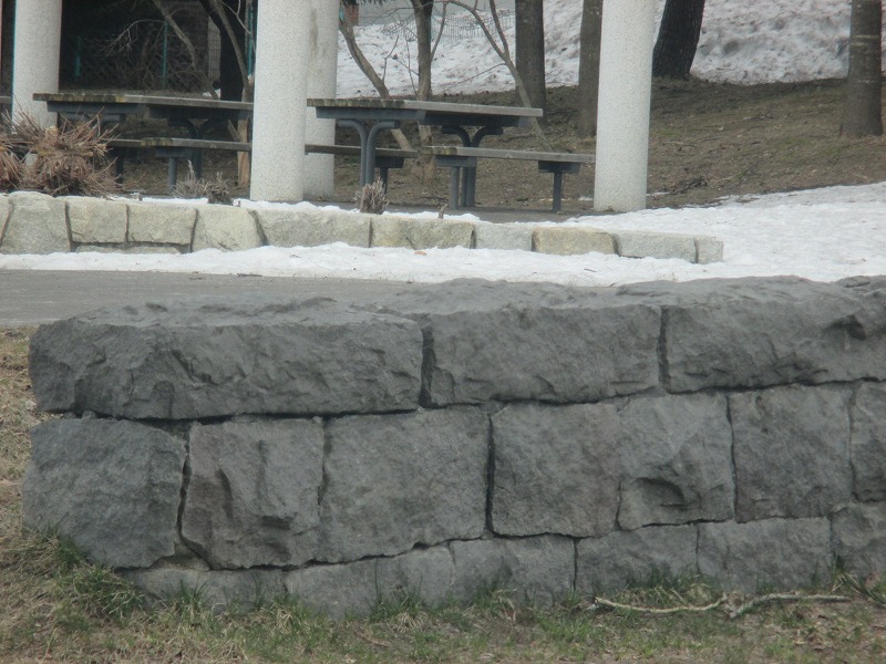 f0202703_541322.jpg