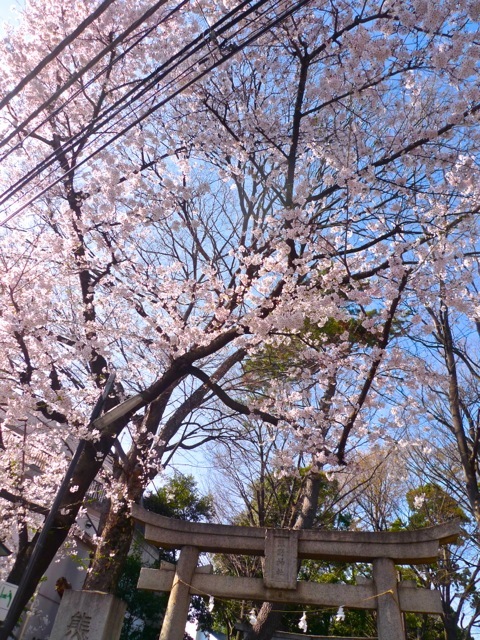 e0157816_09294680.jpg
