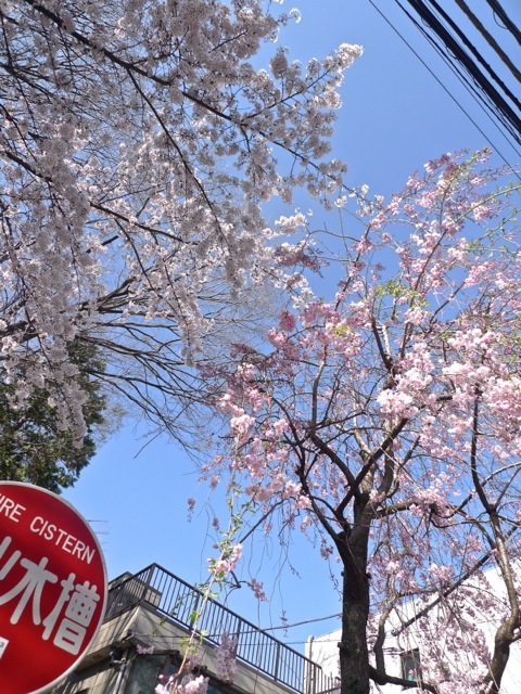e0157816_09424407.jpg