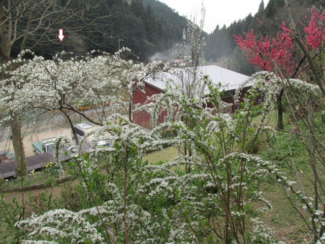 f0341616_17374678.jpg