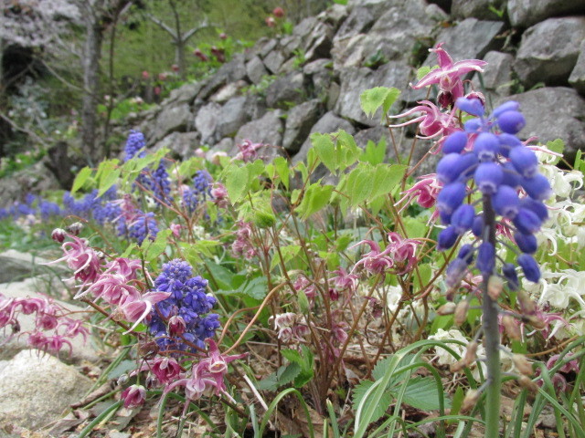 f0341616_17550137.jpg