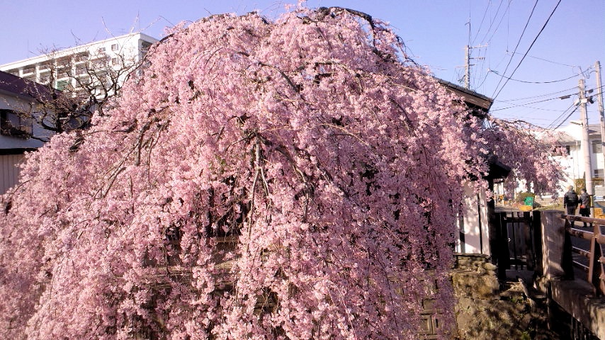 a0248728_172229.jpg