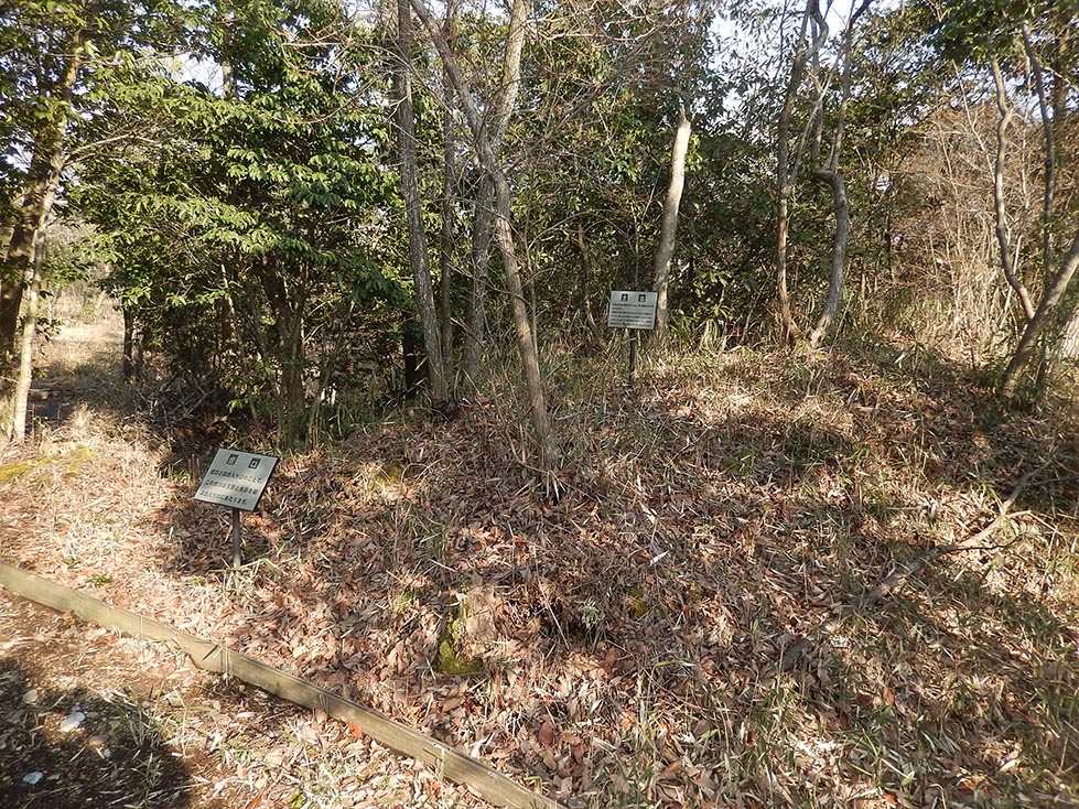 e0158128_21102050.jpg