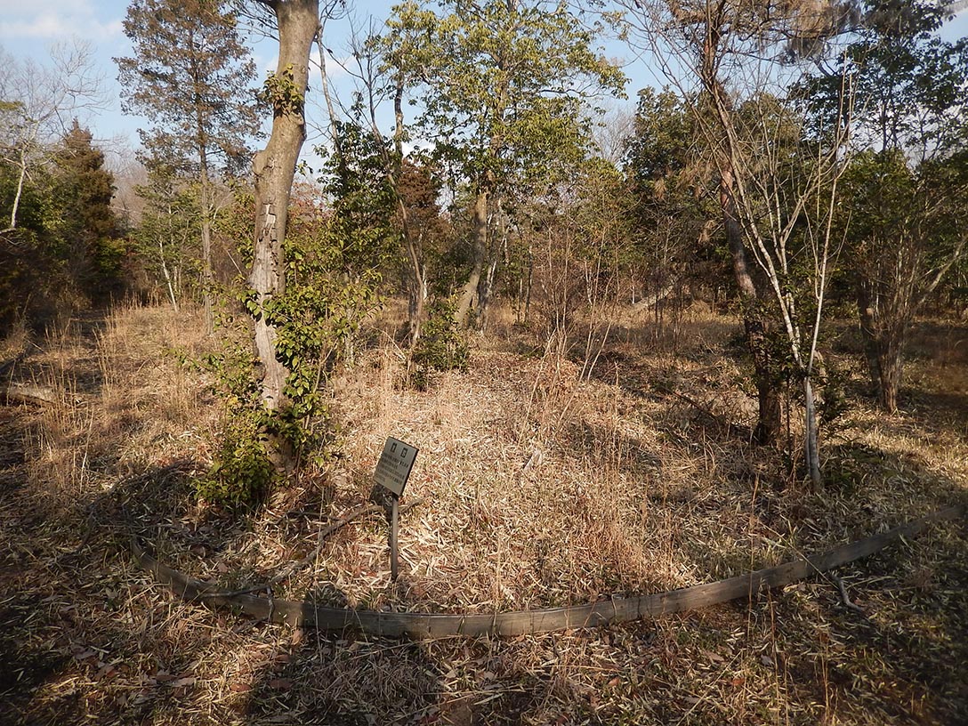 e0158128_21121728.jpg