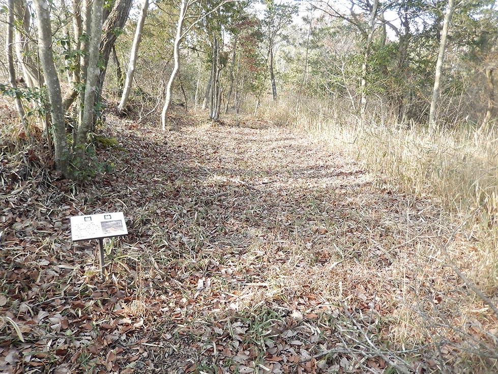 e0158128_21133712.jpg