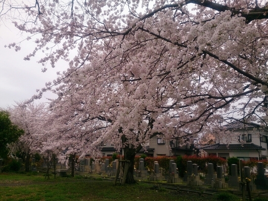 b0138430_11401155.jpg