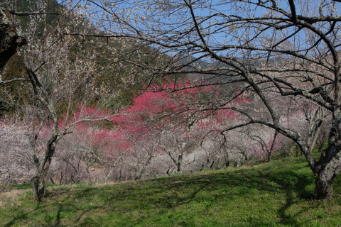 b0281732_11363524.jpg