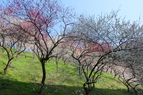 b0281732_11365816.jpg