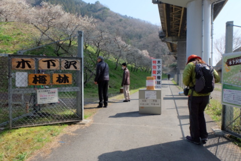b0281732_1137636.jpg