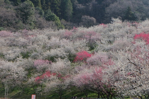 b0281732_11483680.jpg