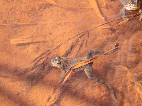 f0118332_21555293.jpg