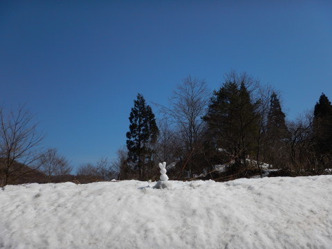 f0118332_21582224.jpg