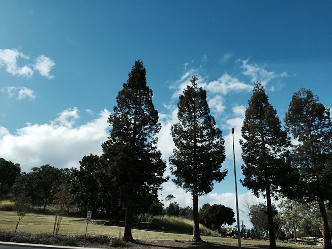 b0198033_15252749.jpg