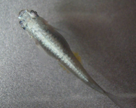 e0097534_18334946.jpg