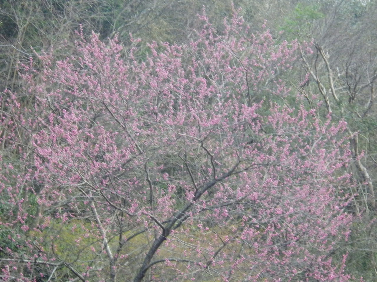 c0300035_8301613.jpg