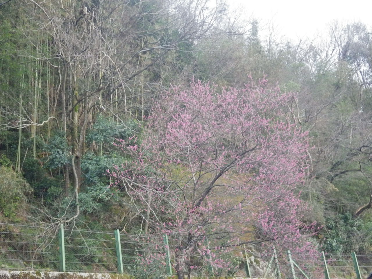 c0300035_830736.jpg