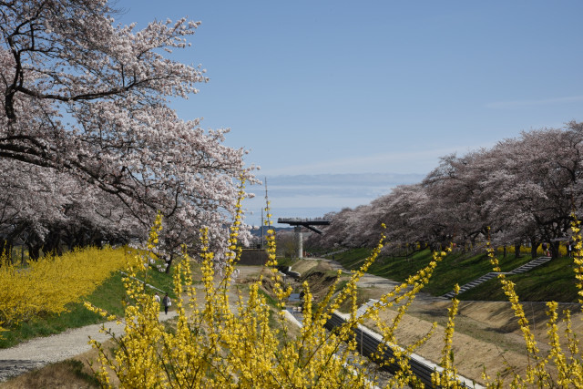 c0195439_23453955.jpg