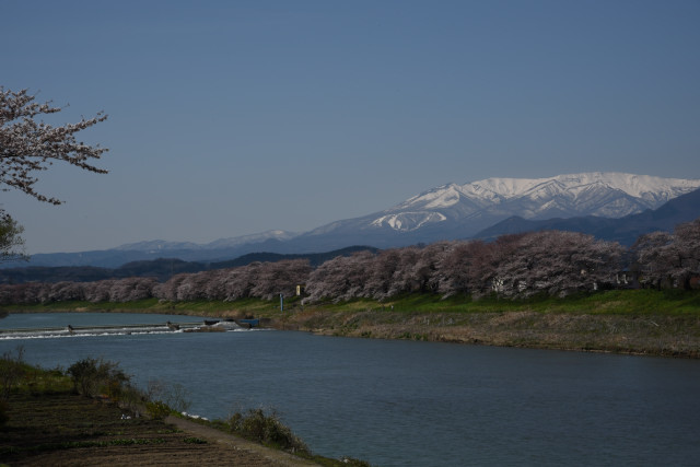 c0195439_23460858.jpg