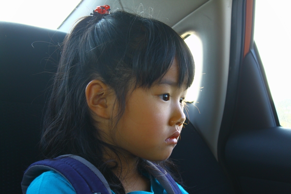 a0090451_16115486.jpg