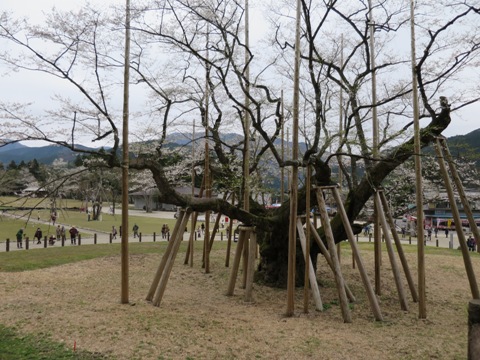 f0202151_21411995.jpg