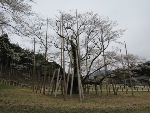 f0202151_21414518.jpg