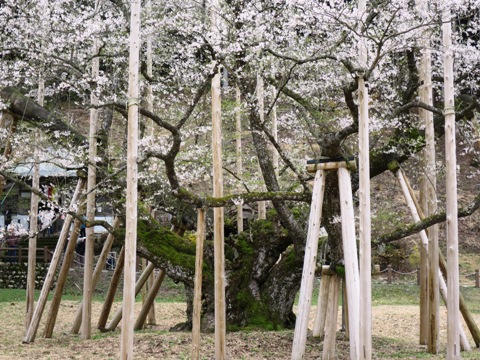 f0202151_21422323.jpg