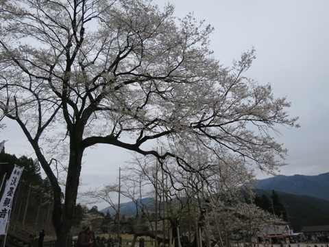 f0202151_2151115.jpg