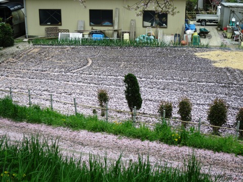 f0202151_22111444.jpg