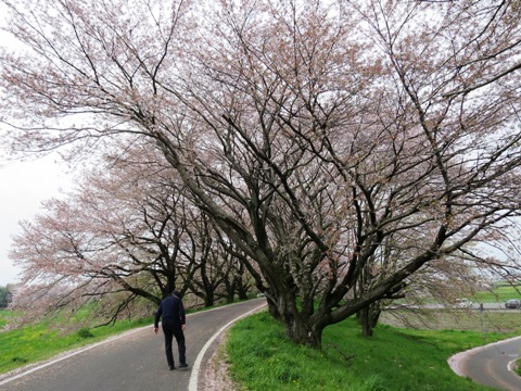f0202151_2255823.jpg