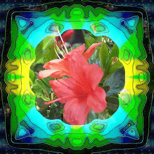 b0133752_2356665.gif
