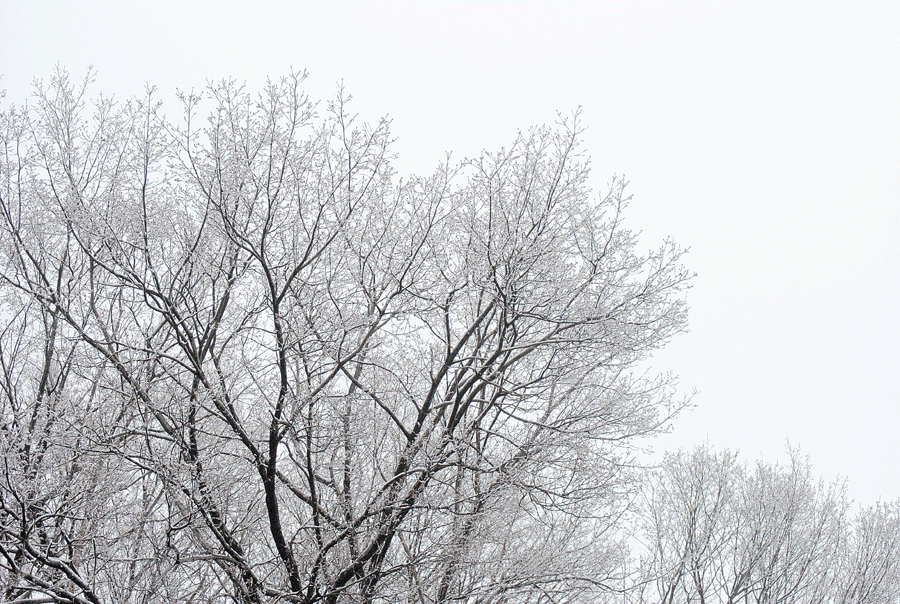 a0001354_19514567.gif