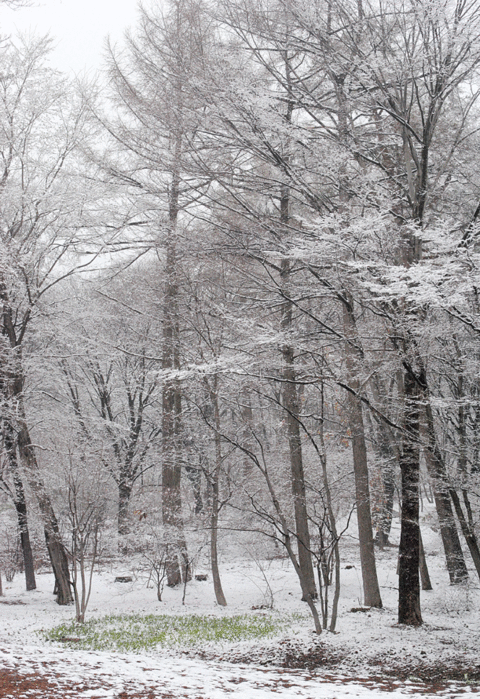 a0001354_19515796.gif