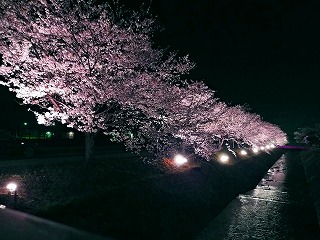 c0026558_20474969.jpg