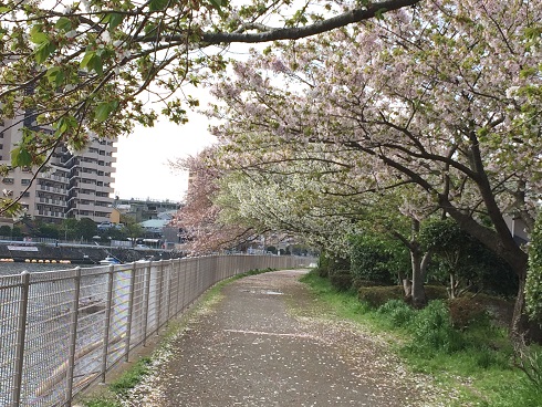 d0299559_22284141.jpg