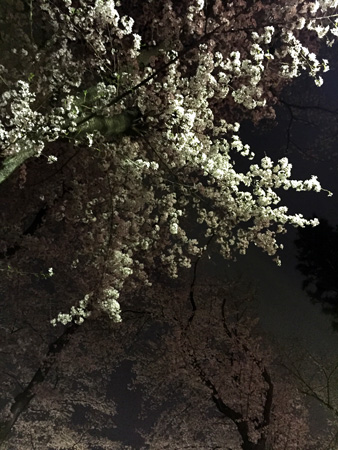 a0150860_206569.jpg