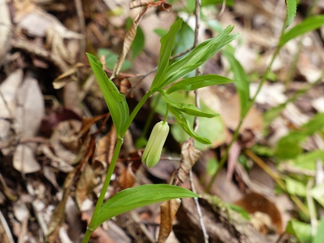 f0357487_22305790.jpg