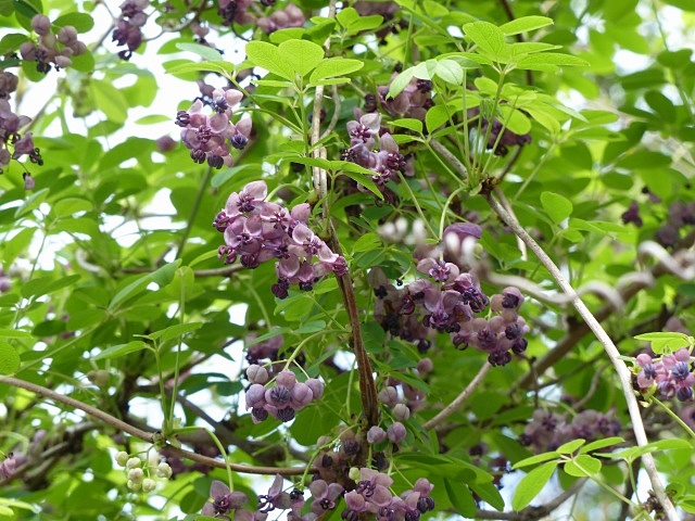 f0357487_22393377.jpg