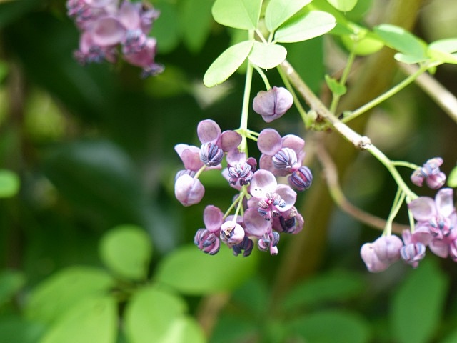 f0357487_22394878.jpg