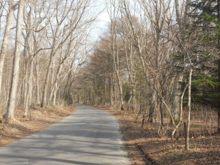 e0148889_20322472.jpg