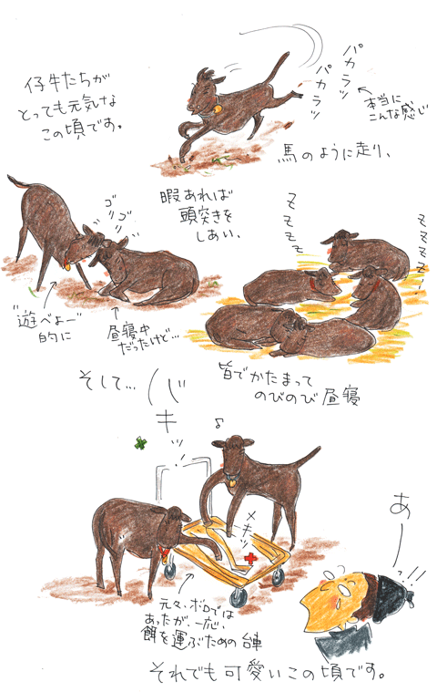 f0236291_6433536.gif