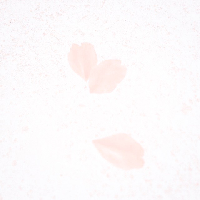 f0238991_12383639.jpg