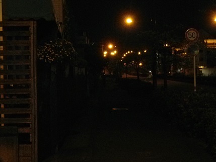 e0048994_10291428.jpg