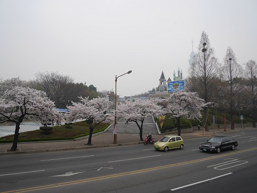 a0140305_2524190.jpg