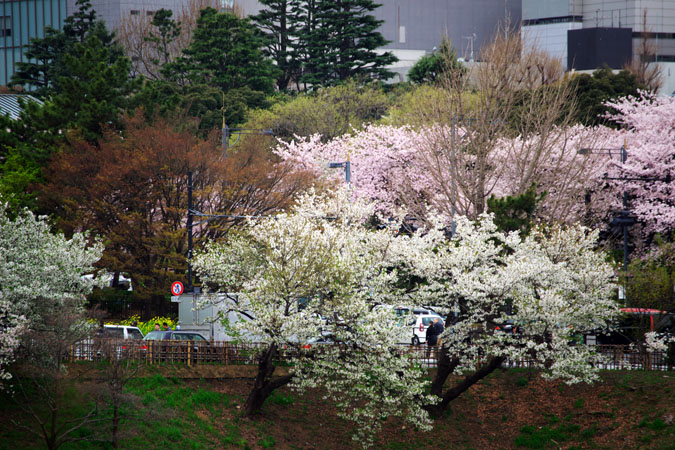 a0263109_9293542.jpg