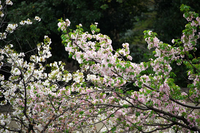 a0263109_9314020.jpg
