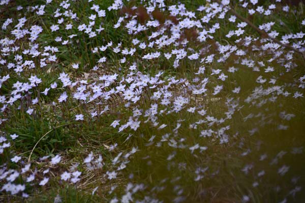 f0147025_15402355.jpg