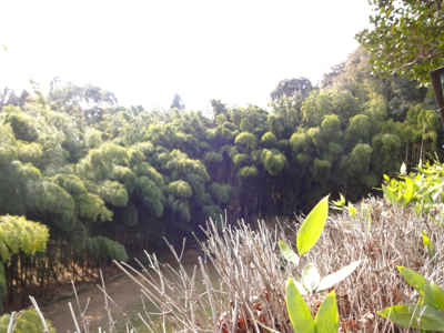 f0141840_01361682.jpg